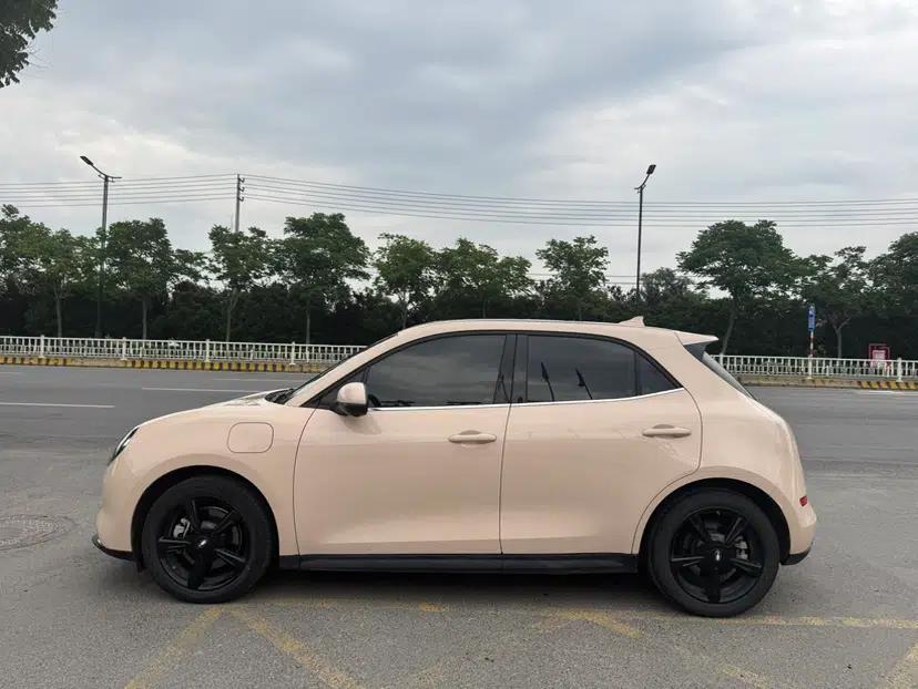 ORA Good Cat 2024 501 km Luxury Version — миниатюра 5