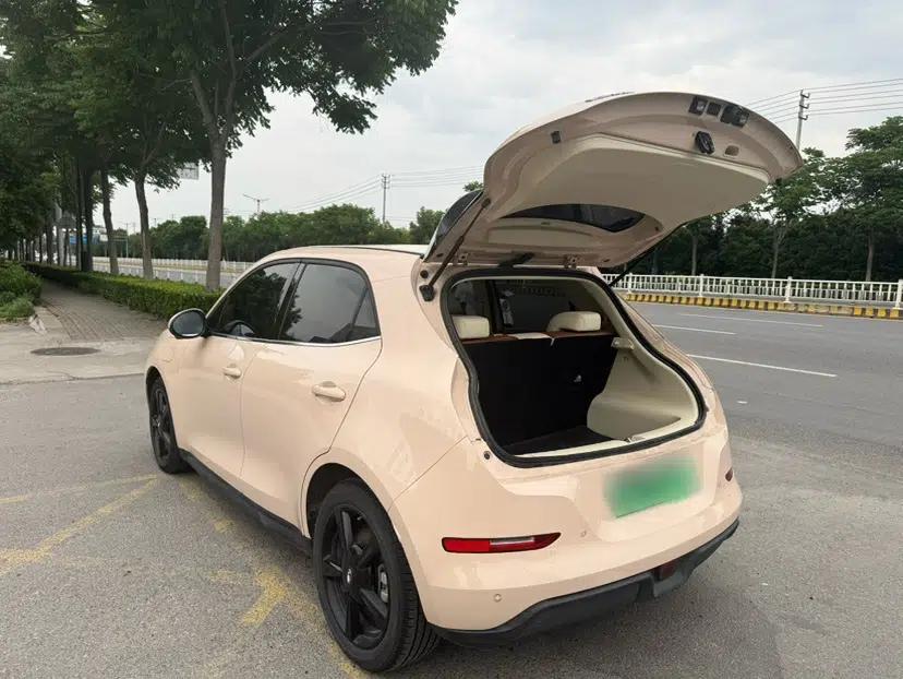 ORA Good Cat 2024 501 km Luxury Version — миниатюра 6