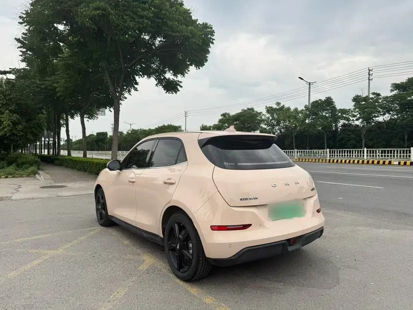 ORA Good Cat 2024 501 km Luxury Version — миниатюра 8