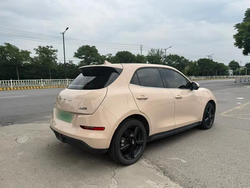 ORA Good Cat 2024 501 km Luxury Version — миниатюра 9