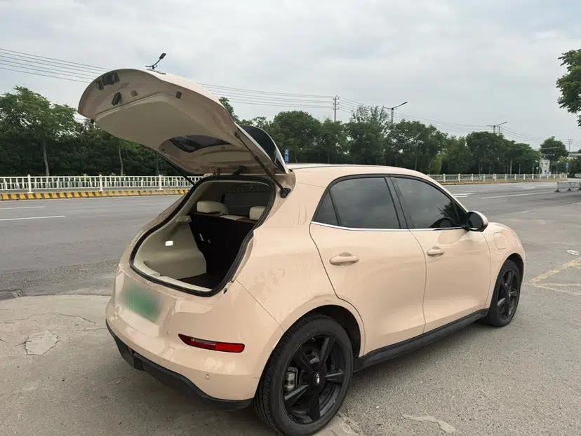 ORA Good Cat 2024 501 km Luxury Version — миниатюра 10