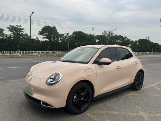 ORA Good Cat 2024 501 km Luxury Version