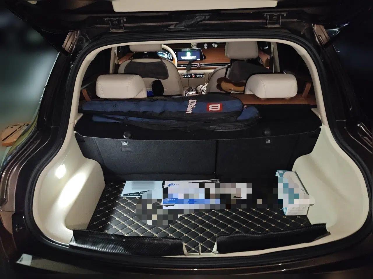 ORA Good Cat 2021 500km Long-Range Poseidon Edition Lithium-Ion Battery — миниатюра 20