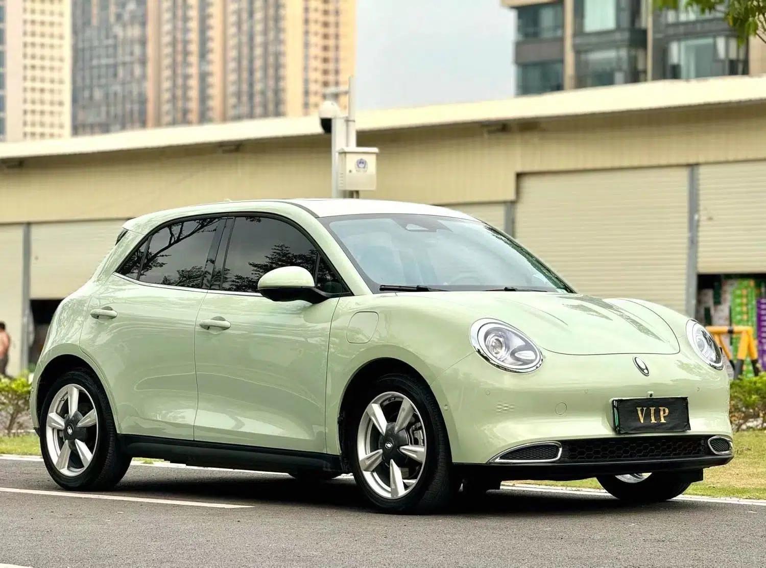 ORA Good Cat 2022 Morandi Edition 400km Standard Range Premium Version Lithium-Ion Battery — миниатюра 6