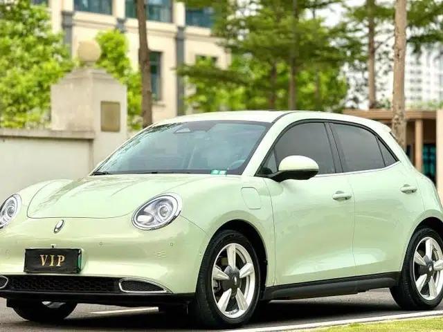 ORA Good Cat 2022 Morandi Edition 400km Standard Range Premium Version Lithium-Ion Battery