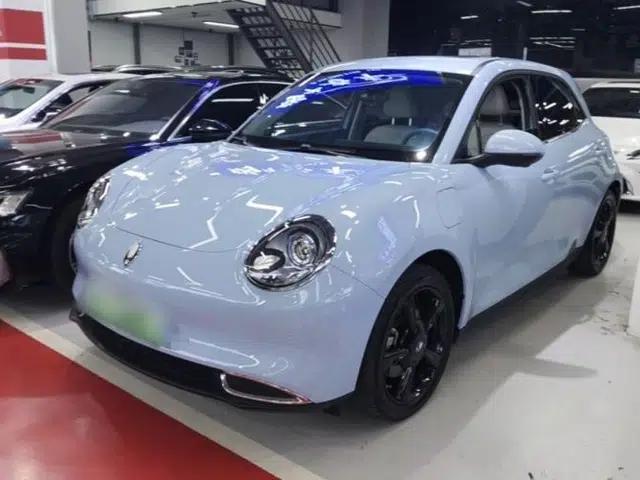 ORA Good Cat 2024 401 km Luxury Version