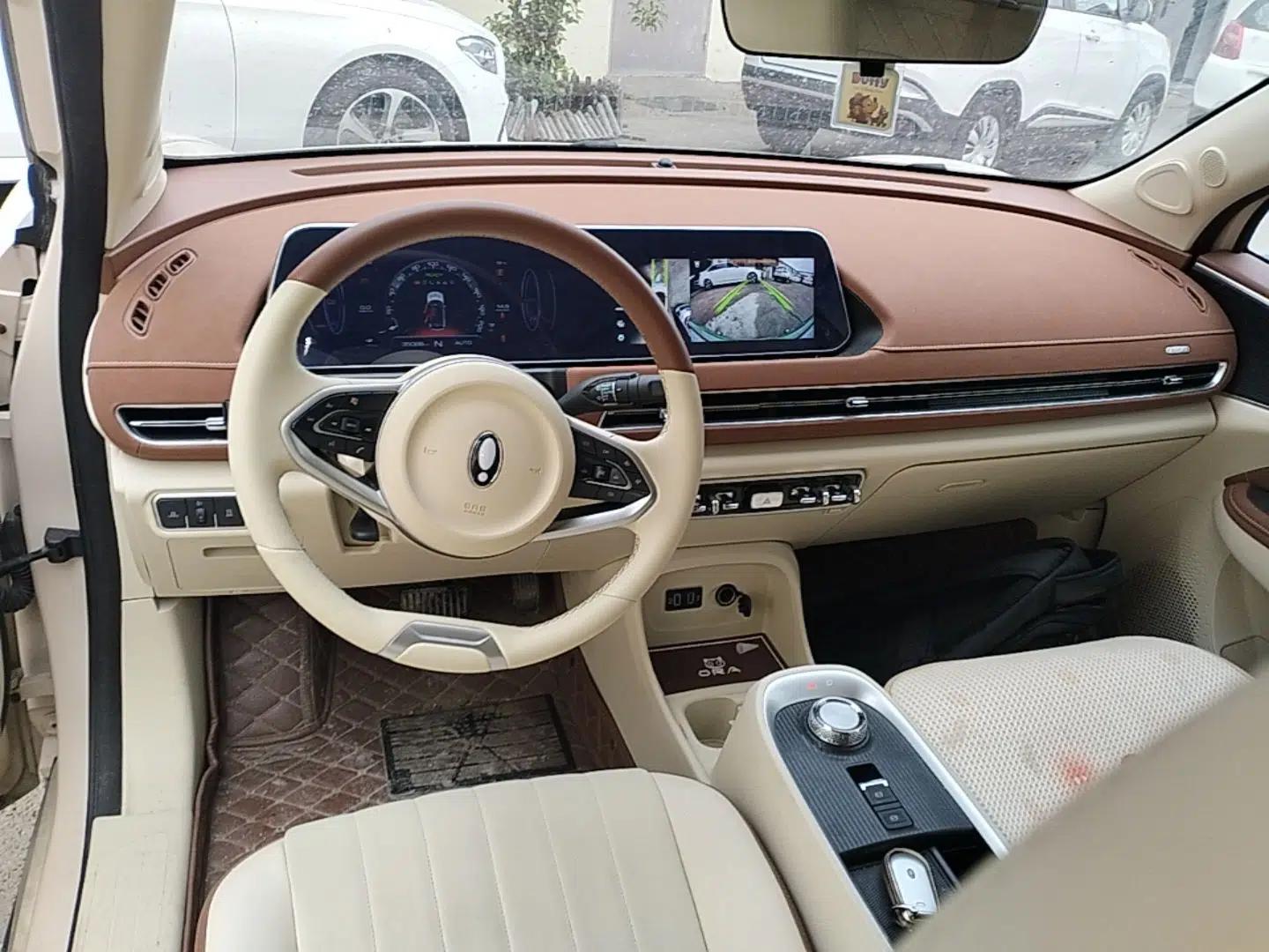 ORA Good Cat 2022 400km Standard Range Luxury Version Lithium Iron Phosphate — миниатюра 13
