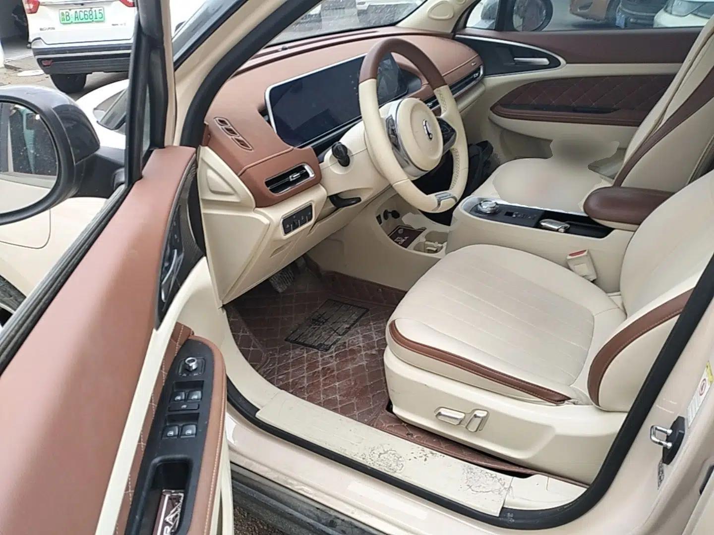 ORA Good Cat 2022 400km Standard Range Luxury Version Lithium Iron Phosphate — миниатюра 19