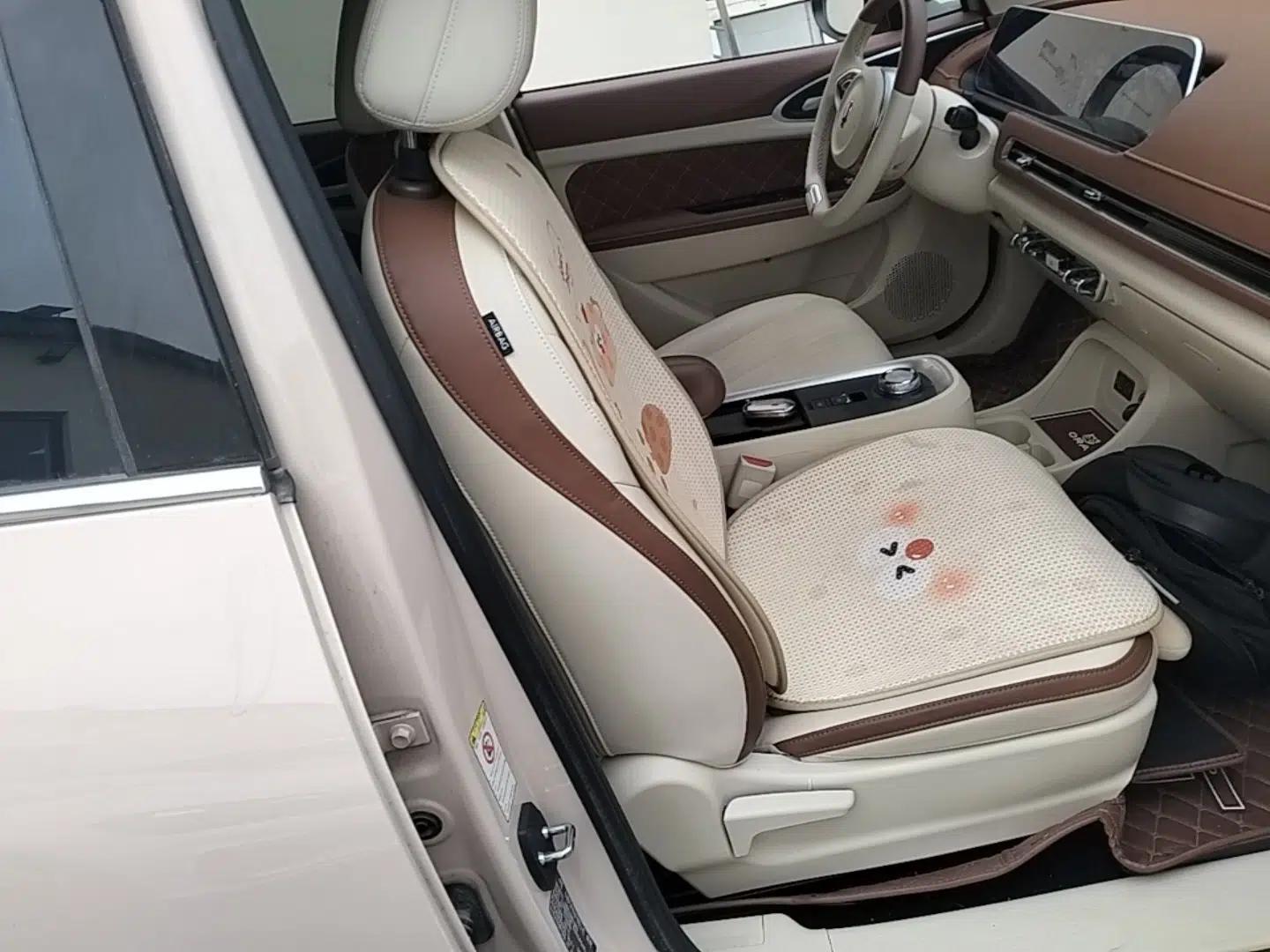 ORA Good Cat 2022 400km Standard Range Luxury Version Lithium Iron Phosphate — миниатюра 23