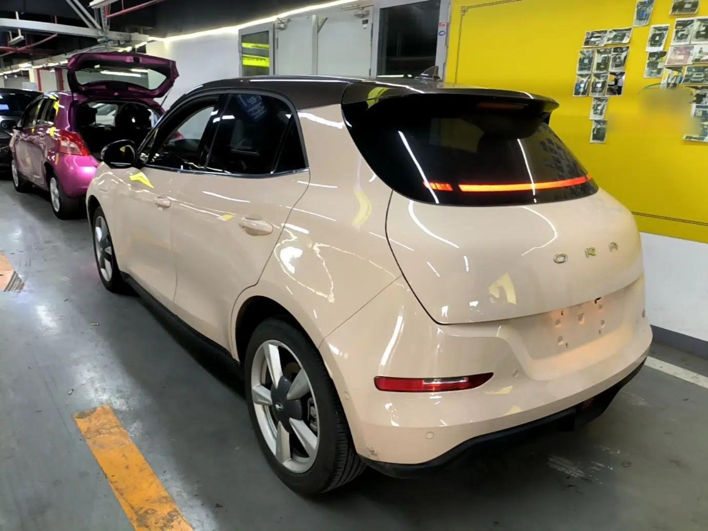 ORA Good Cat 2021 400km Standard Range Athena Edition Lithium-Ion Battery — миниатюра 4