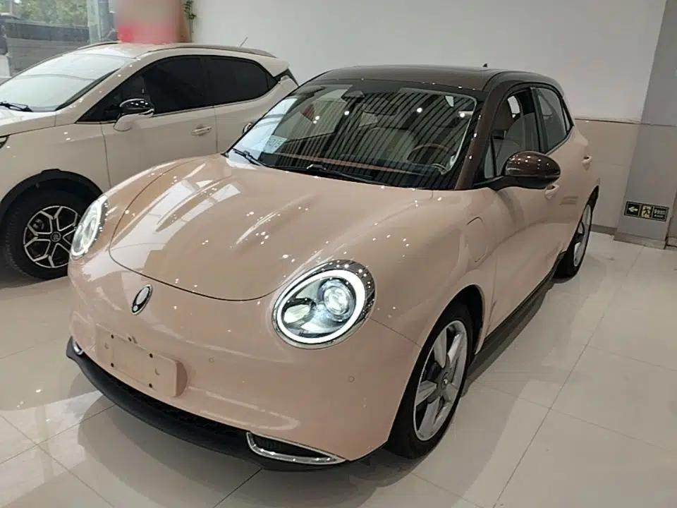 ORA Good Cat 2021 400km Standard Range Athena Edition Lithium Iron Phosphate — миниатюра 1