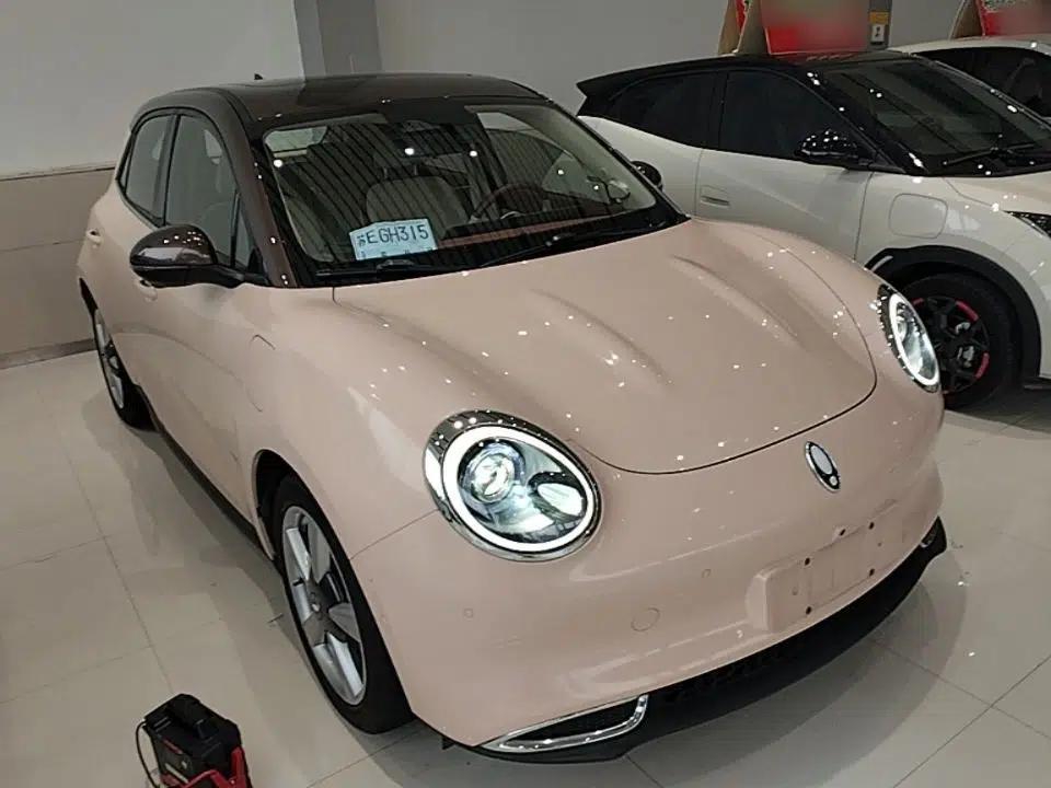 ORA Good Cat 2021 400km Standard Range Athena Edition Lithium Iron Phosphate — миниатюра 3