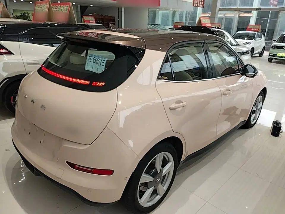 ORA Good Cat 2021 400km Standard Range Athena Edition Lithium Iron Phosphate — миниатюра 6