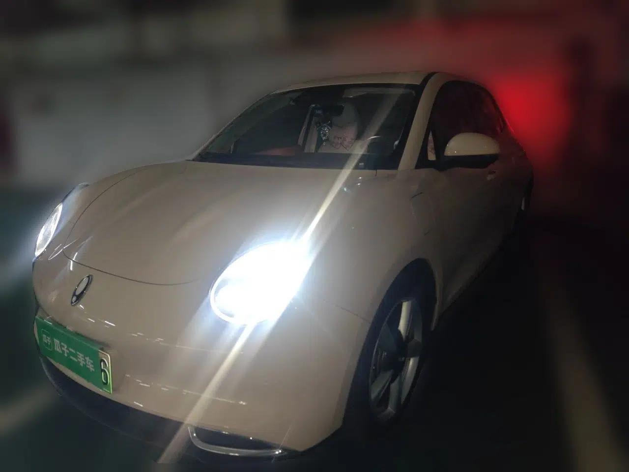 ORA Good Cat 2022 Morandi Edition 400km Standard Range Premium Version Lithium Iron Phosphate — миниатюра 1