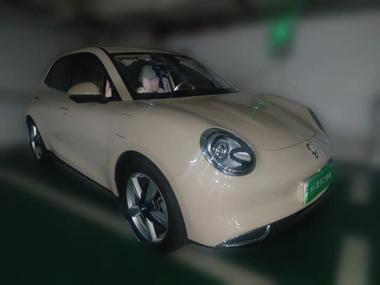 ORA Good Cat 2022 Morandi Edition 400km Standard Range Premium Version Lithium Iron Phosphate — миниатюра 3