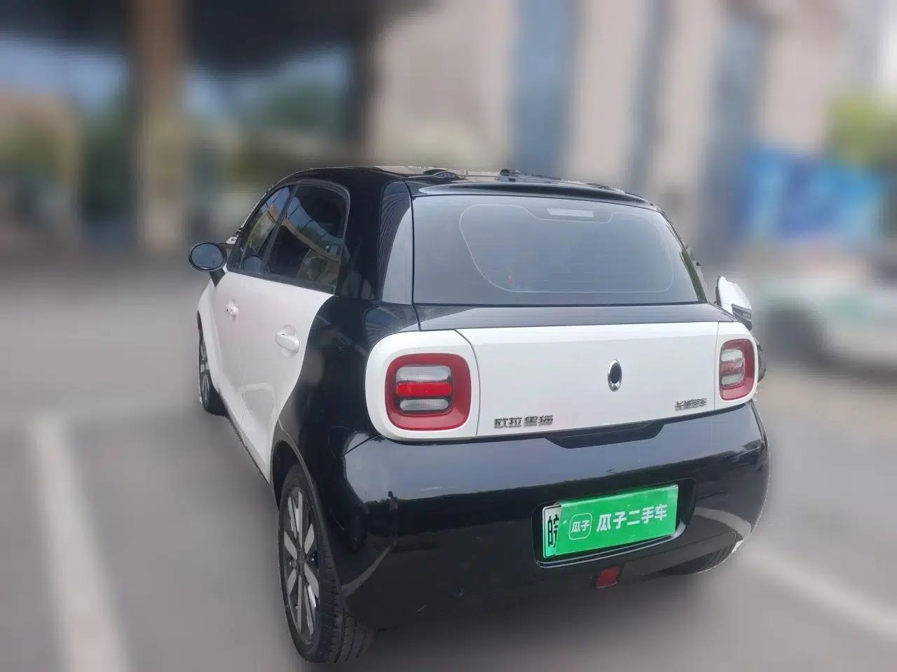 ORA Black Cat 2021 351 km Standard Version — миниатюра 4