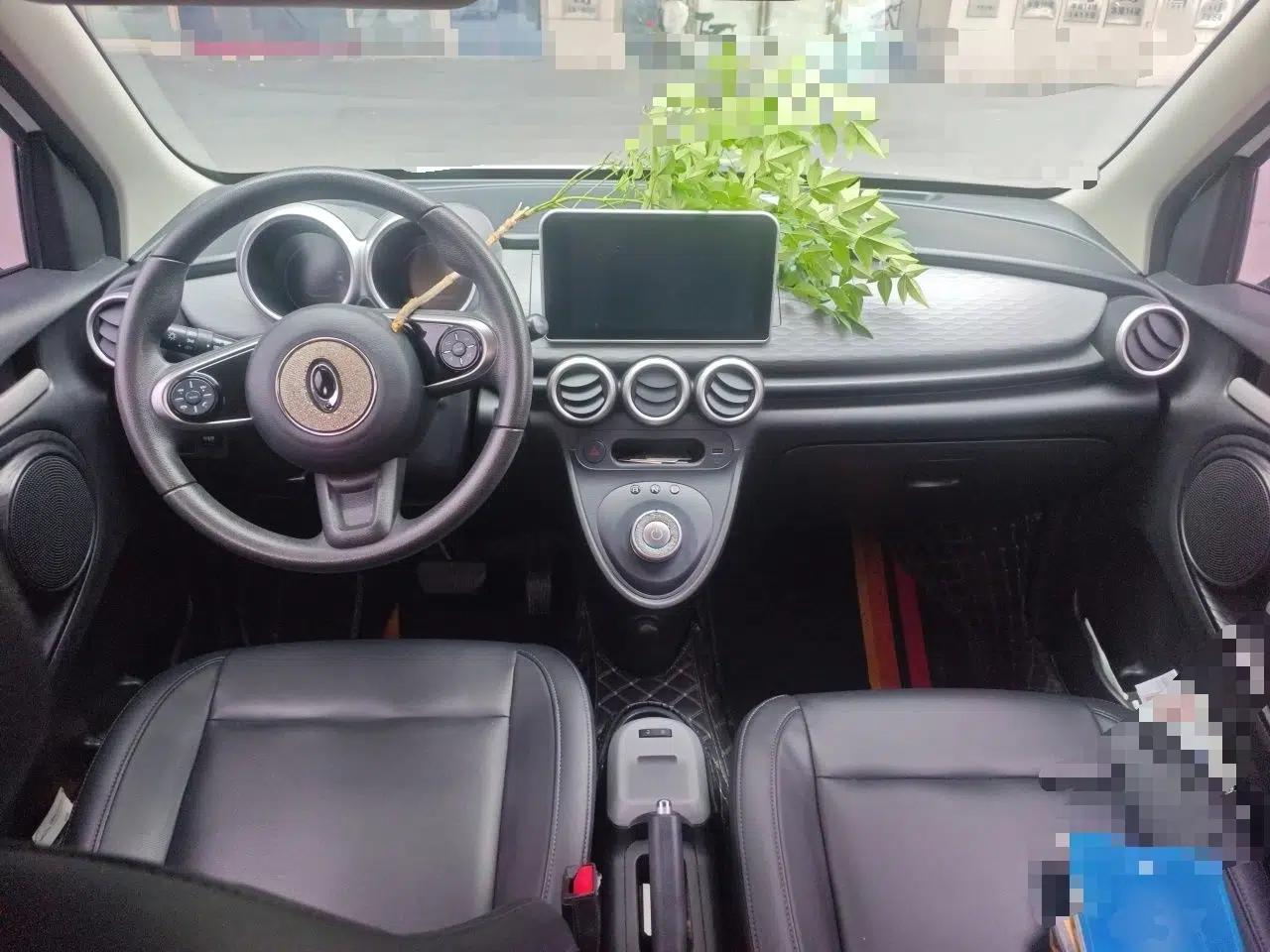 ORA Black Cat 2021 351 km Standard Version — миниатюра 10