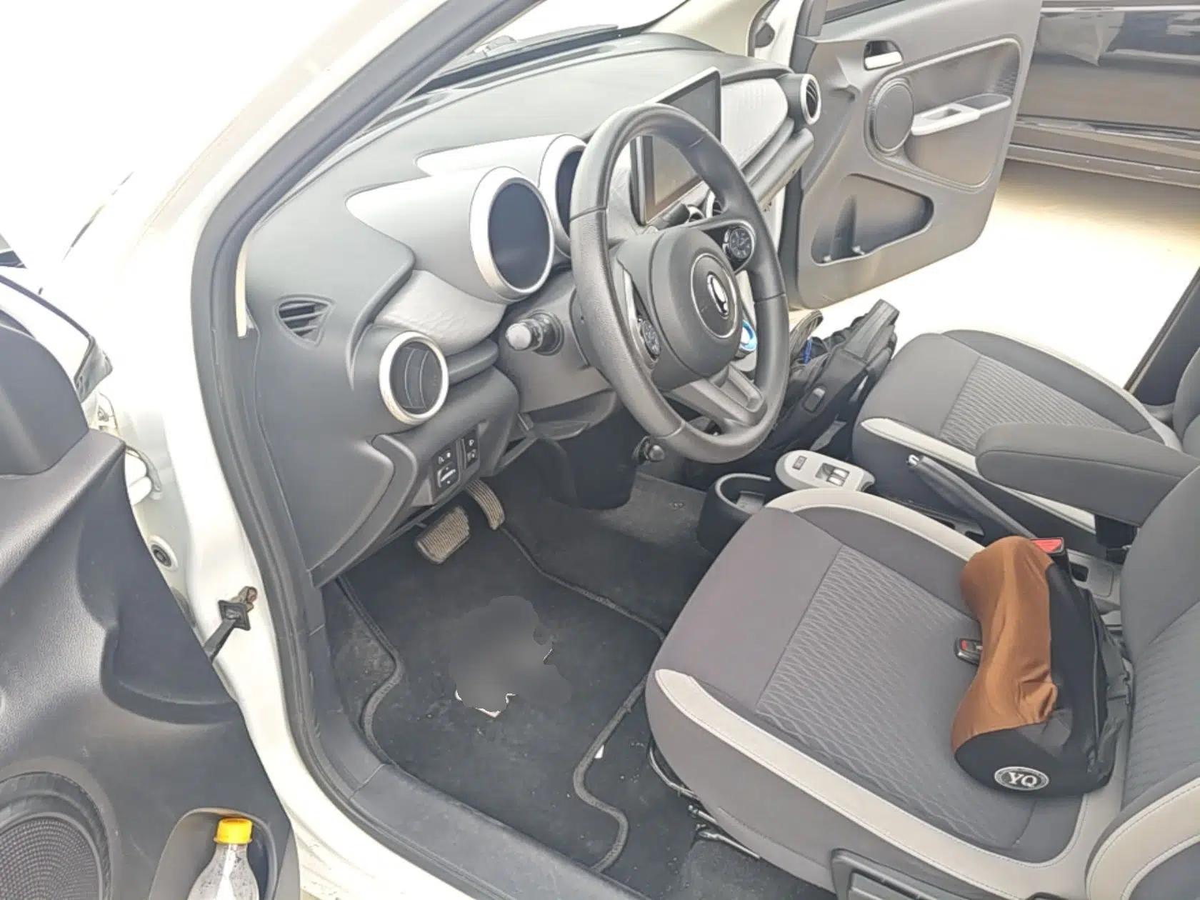 ORA Black Cat 2022 301km Base Version Ternary Lithium — миниатюра 19