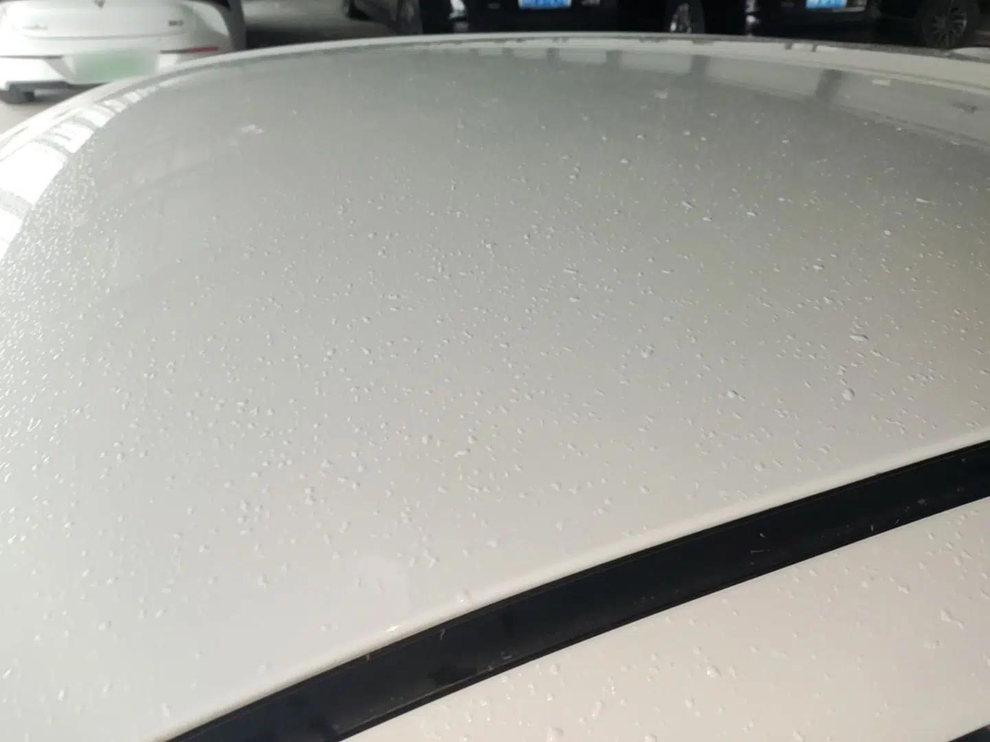 ORA Black Cat 2021 351 km Luxury Version — миниатюра 11