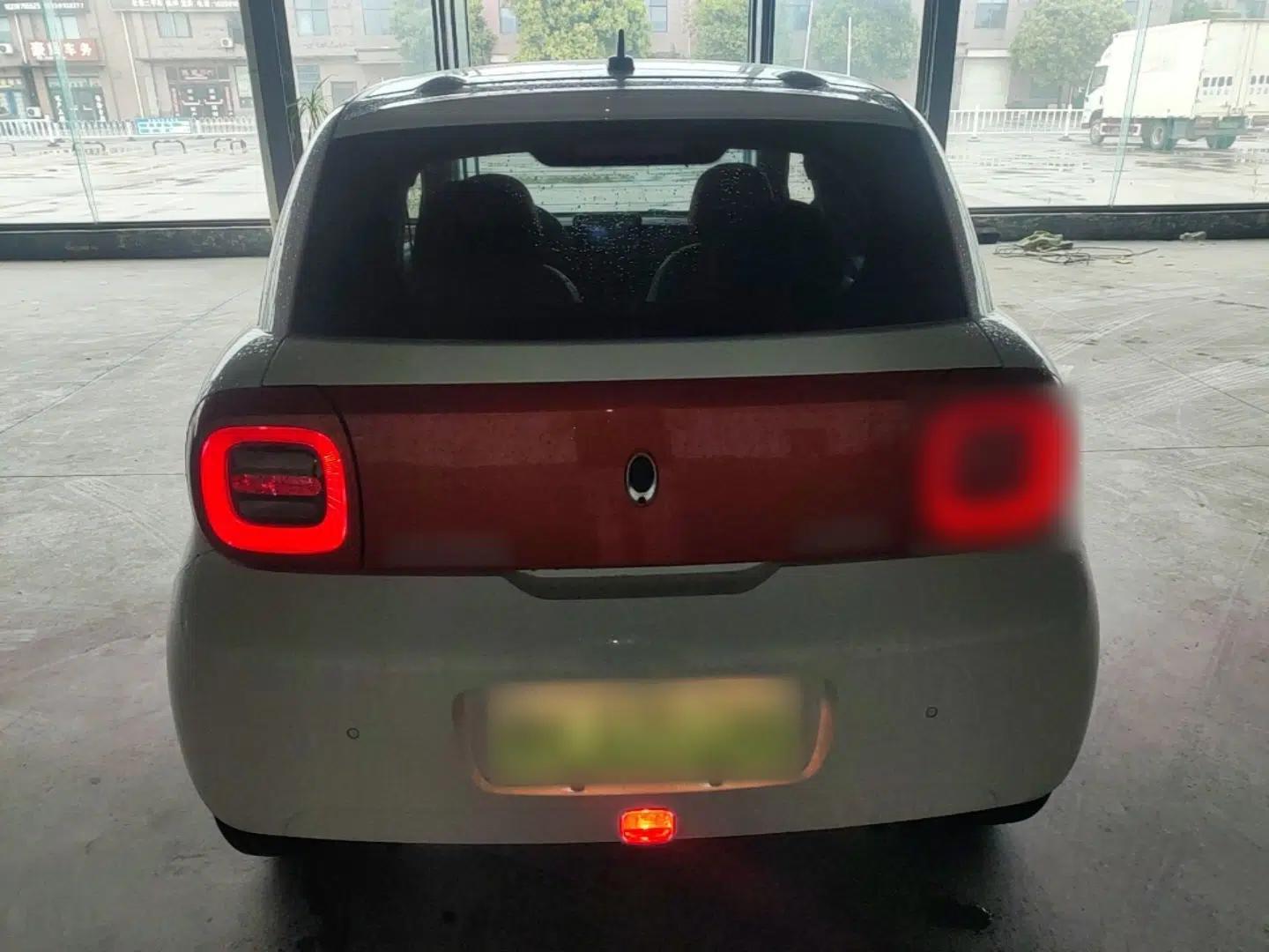 ORA Black Cat 2021 351 km Luxury Version — миниатюра 5