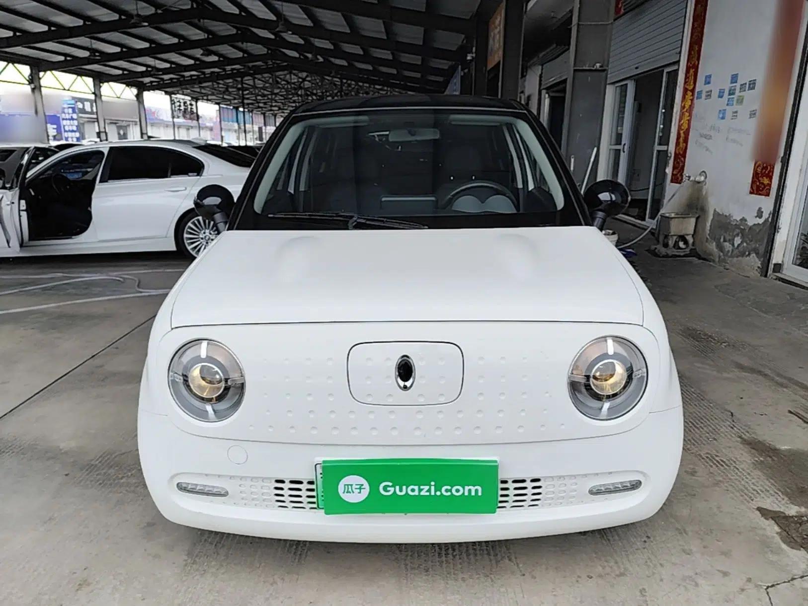 ORA Black Cat 2021 351 km Standard Version — миниатюра 2