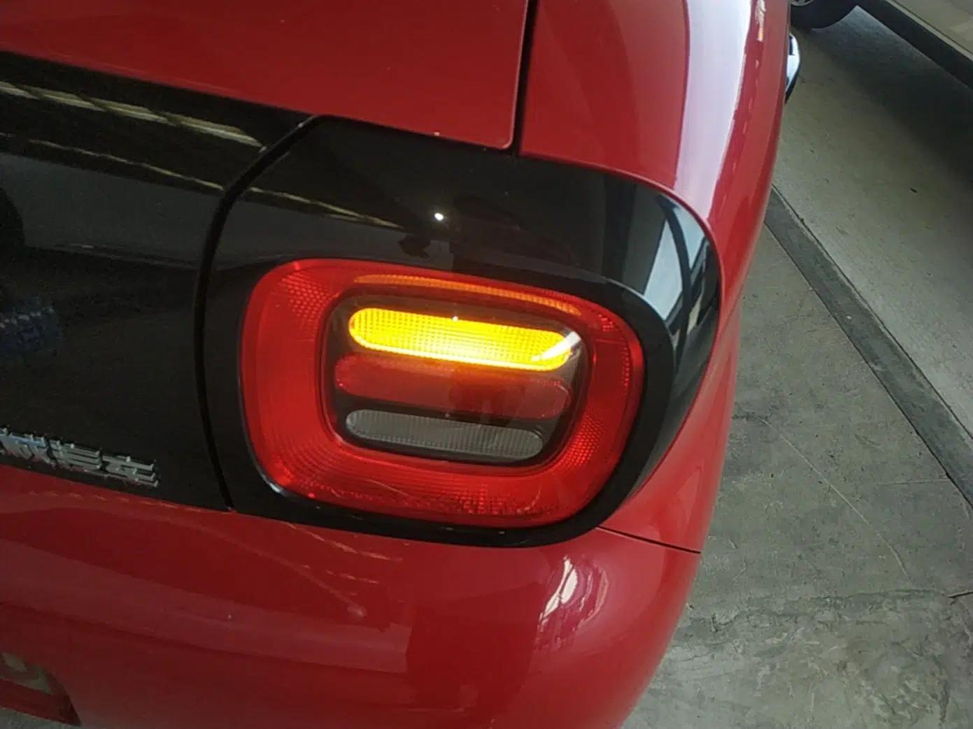 ORA Black Cat 2021 301 km Basic Version — миниатюра 7