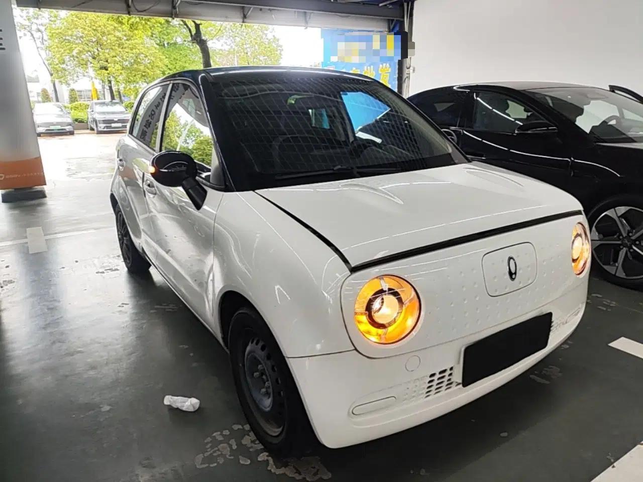 ORA Black Cat 2022 301km "Cute Pet" Version – Lithium Iron Phosphate — миниатюра 3