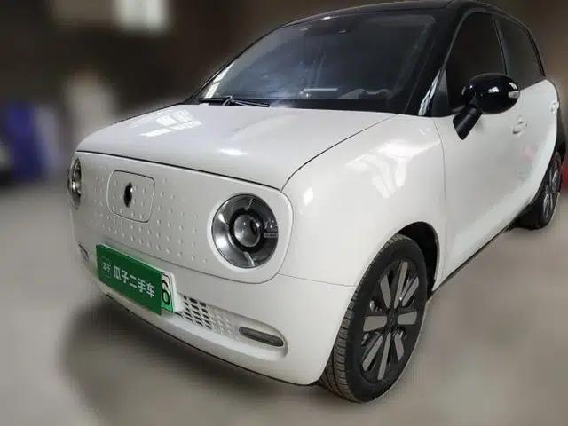 ORA Black Cat 2021 351 km Luxury Version