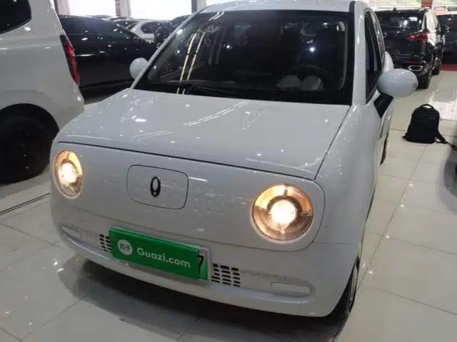 ORA Black Cat 2021 301km Cute Pet Edition