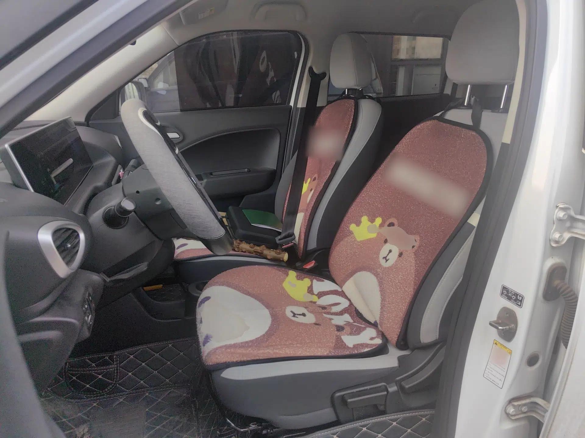 ORA White Cat 2020 360 km Luxury Version — миниатюра 14