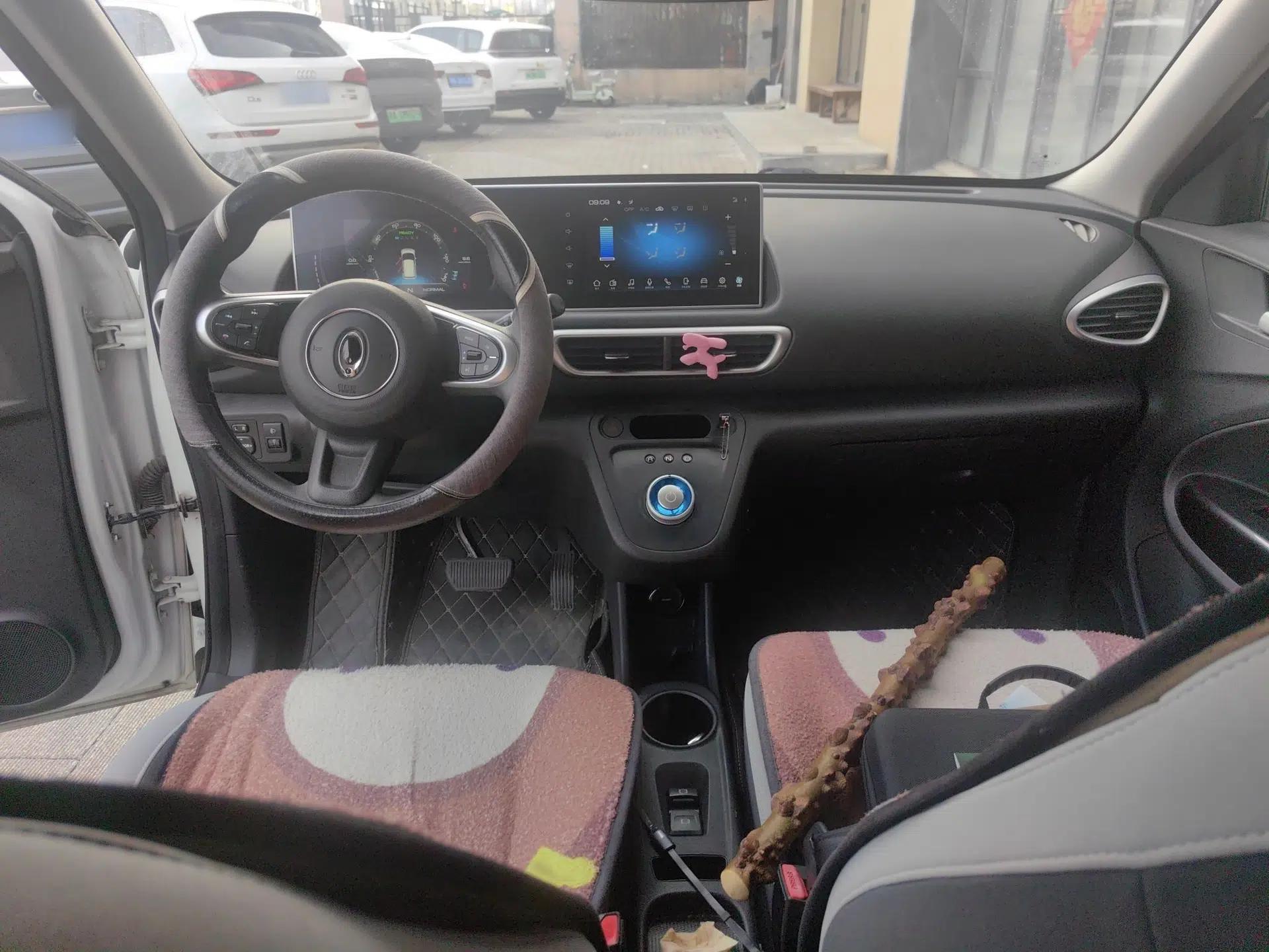 ORA White Cat 2020 360 km Luxury Version — миниатюра 18