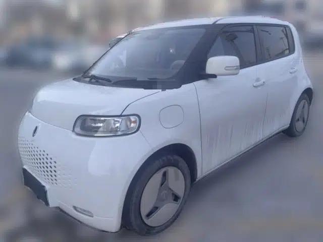 ORA White Cat 2020 360 km Luxury Version