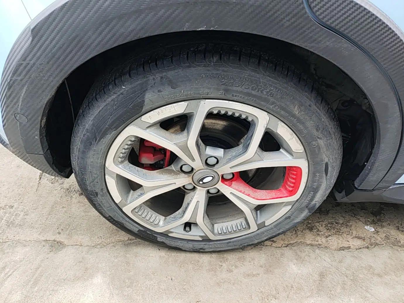 ORA Good Cat GT 2022 Mulan Edition 480km Long-Range续航 — миниатюра 10