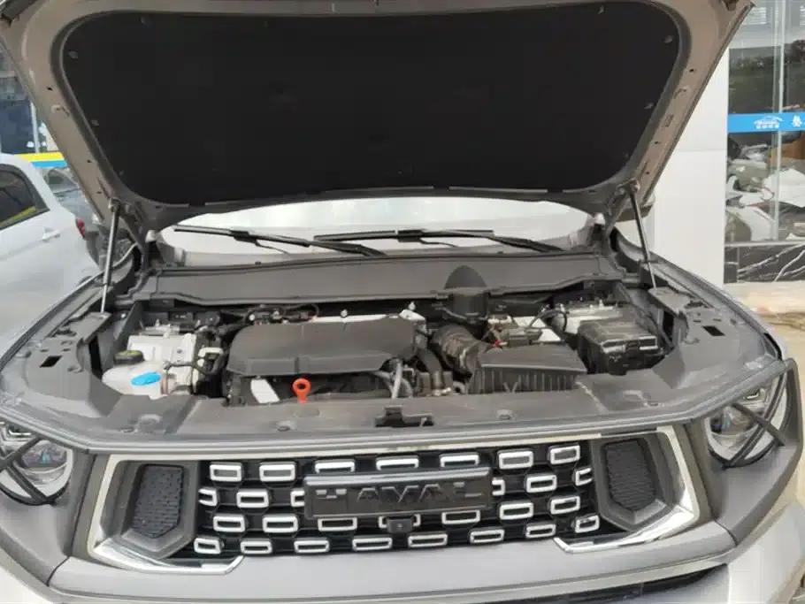Haval Big Dog PLUS 2023 2.0T 2WD Trendy Wild Edition Plus — миниатюра 10