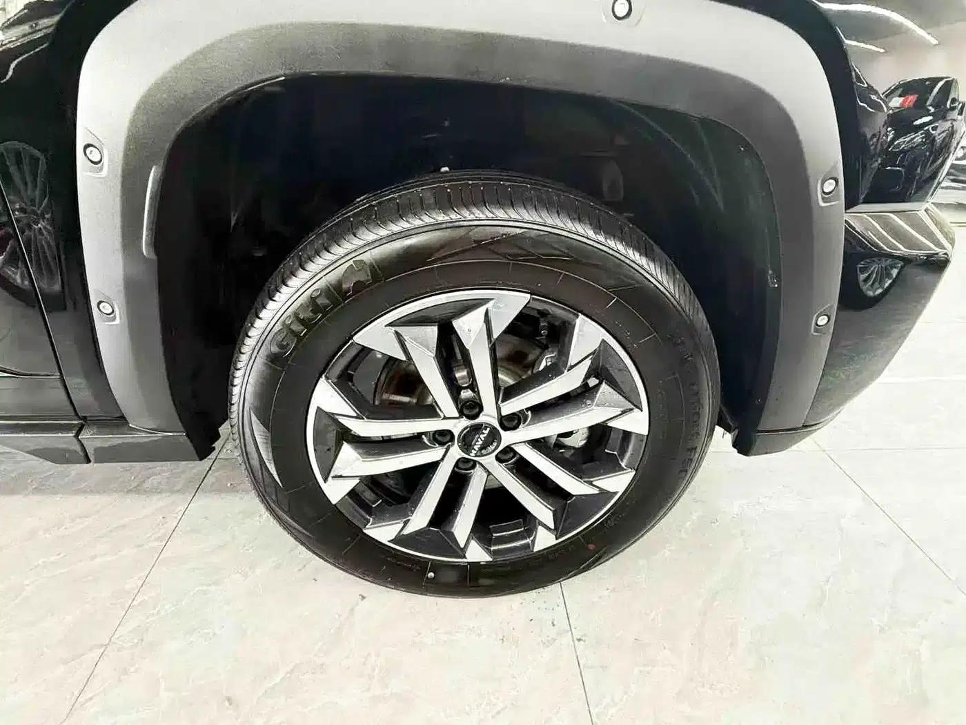 Haval Big Dog PLUS 2023 2.0T 2WD Trendy Wild Edition Plus — миниатюра 25