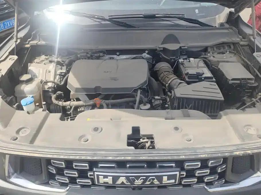 Haval Big Dog PLUS 2023 2.0T 2WD Trendy Wild Edition — миниатюра 10