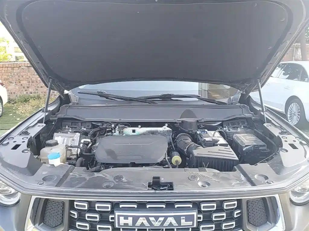Haval Big Dog PLUS 2023 1.5T 2WD Trendy Wild Edition Plus — миниатюра 20
