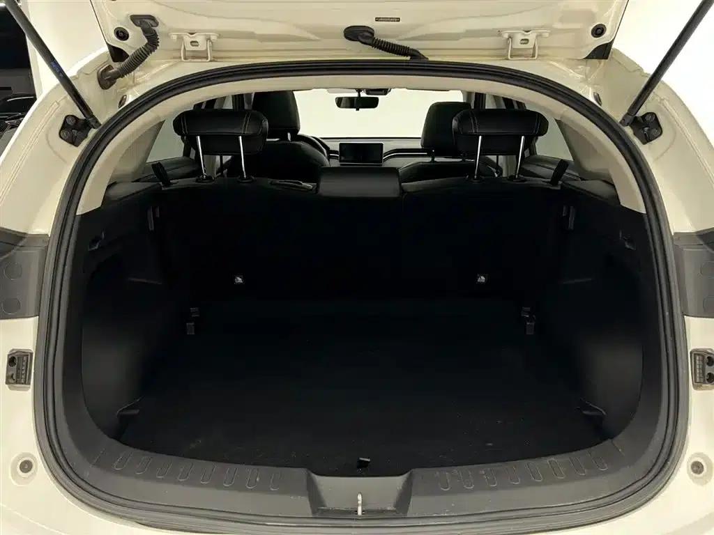Haval Chitu 2022 Enjoy Edition 1.5T Brass Rabbit — миниатюра 13