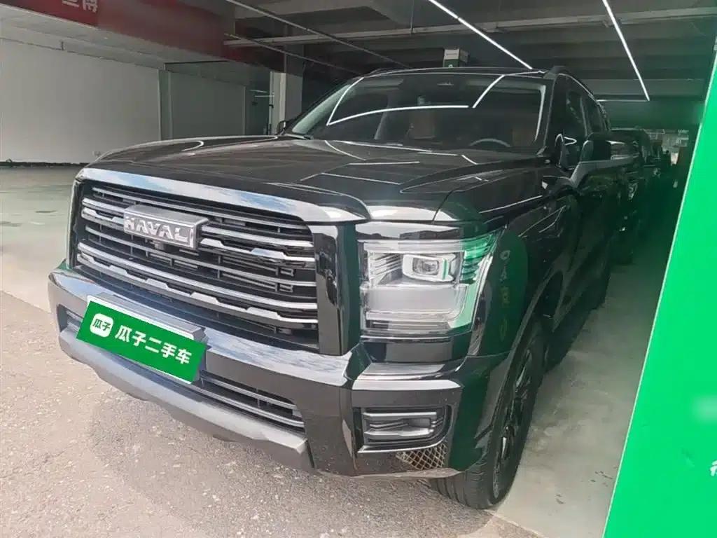 Haval H5 2025 2.0T Automatic Four-Wheel Drive Navigation Edition (Gasoline) — миниатюра 2