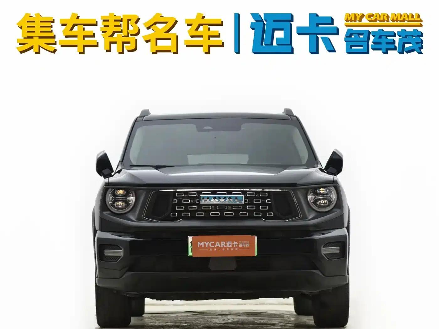 Haval Big Dog PLUS New Energy 2024 Hi4 102km Trendy Electric Edition Plus — миниатюра 2
