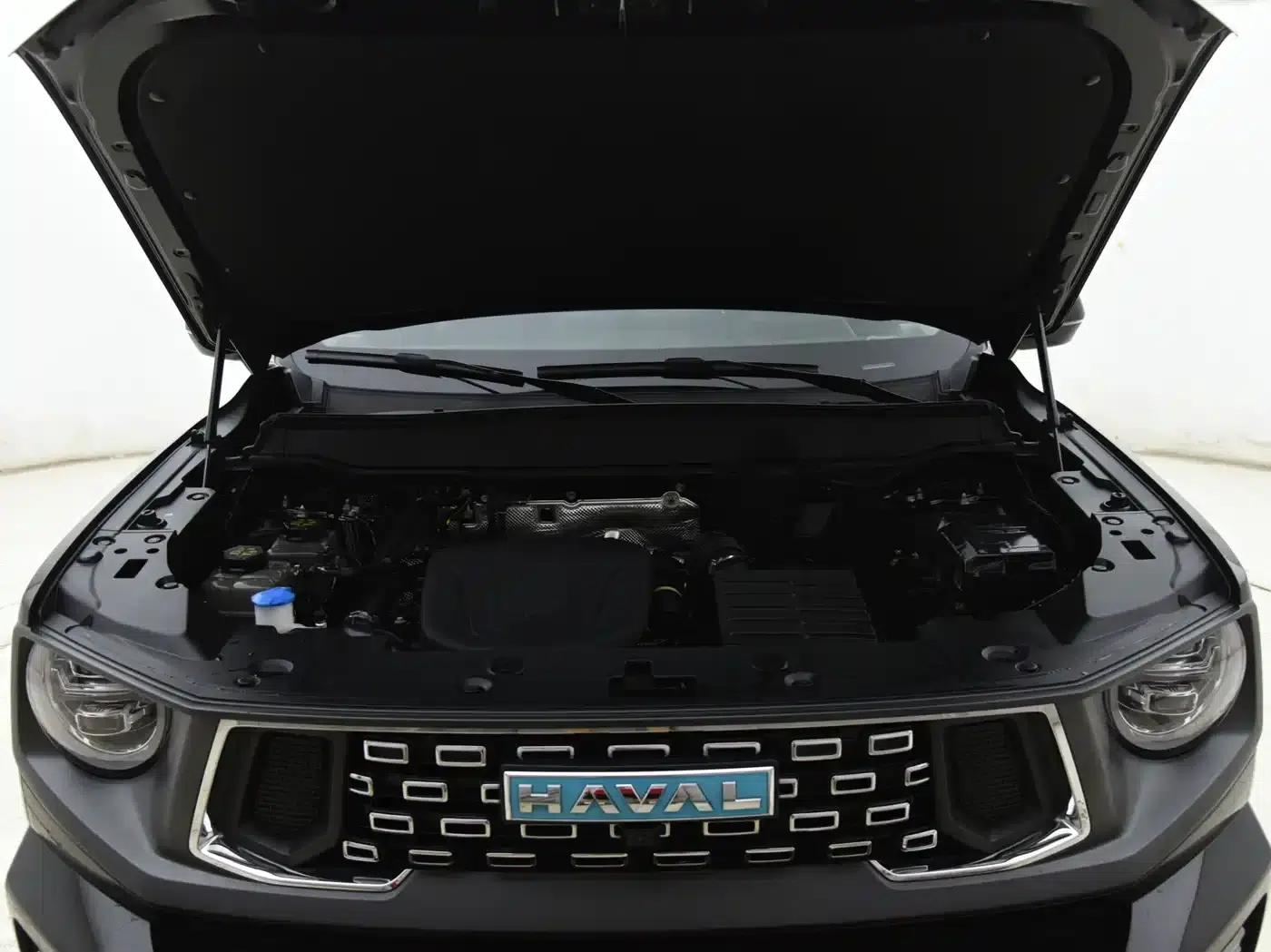 Haval Big Dog PLUS New Energy 2024 Hi4 102km Trendy Electric Edition Plus — миниатюра 12