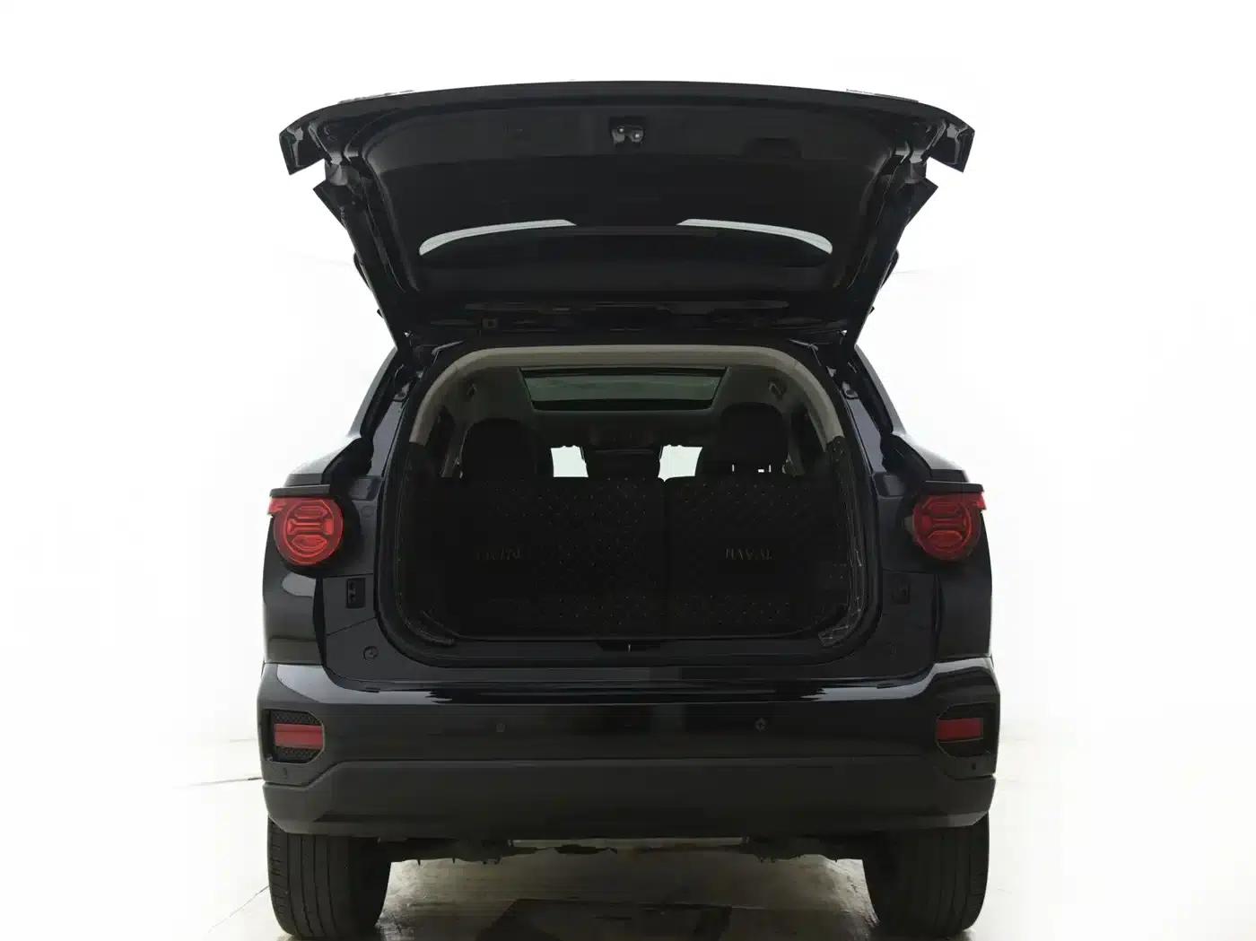 Haval Big Dog PLUS New Energy 2024 Hi4 102km Trendy Electric Edition Plus — миниатюра 14
