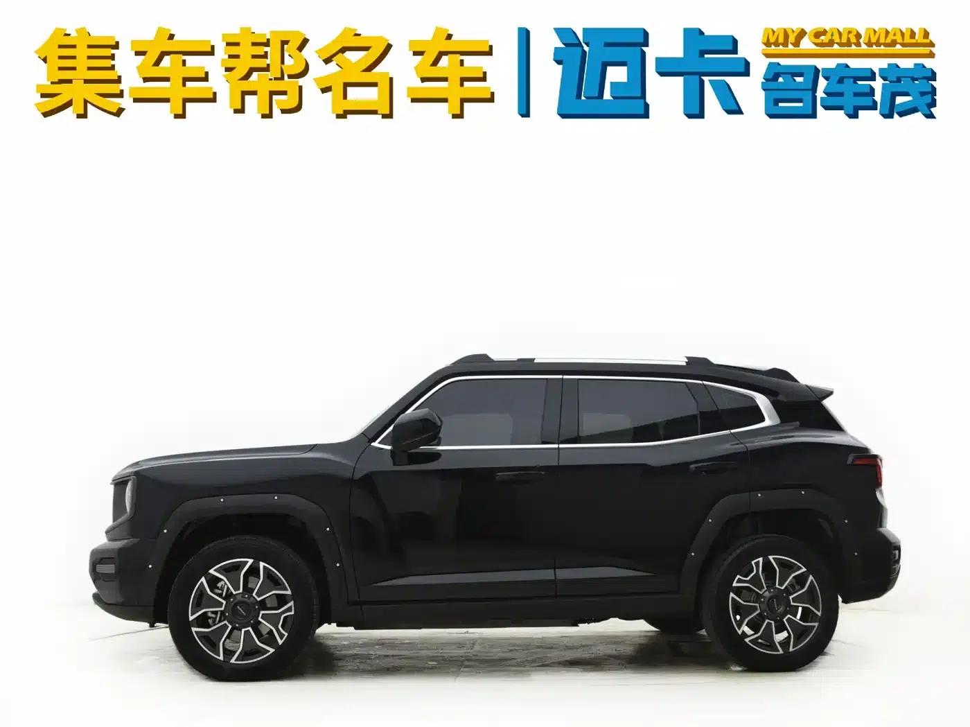 Haval Big Dog PLUS New Energy 2024 Hi4 102km Trendy Electric Edition Plus — миниатюра 3