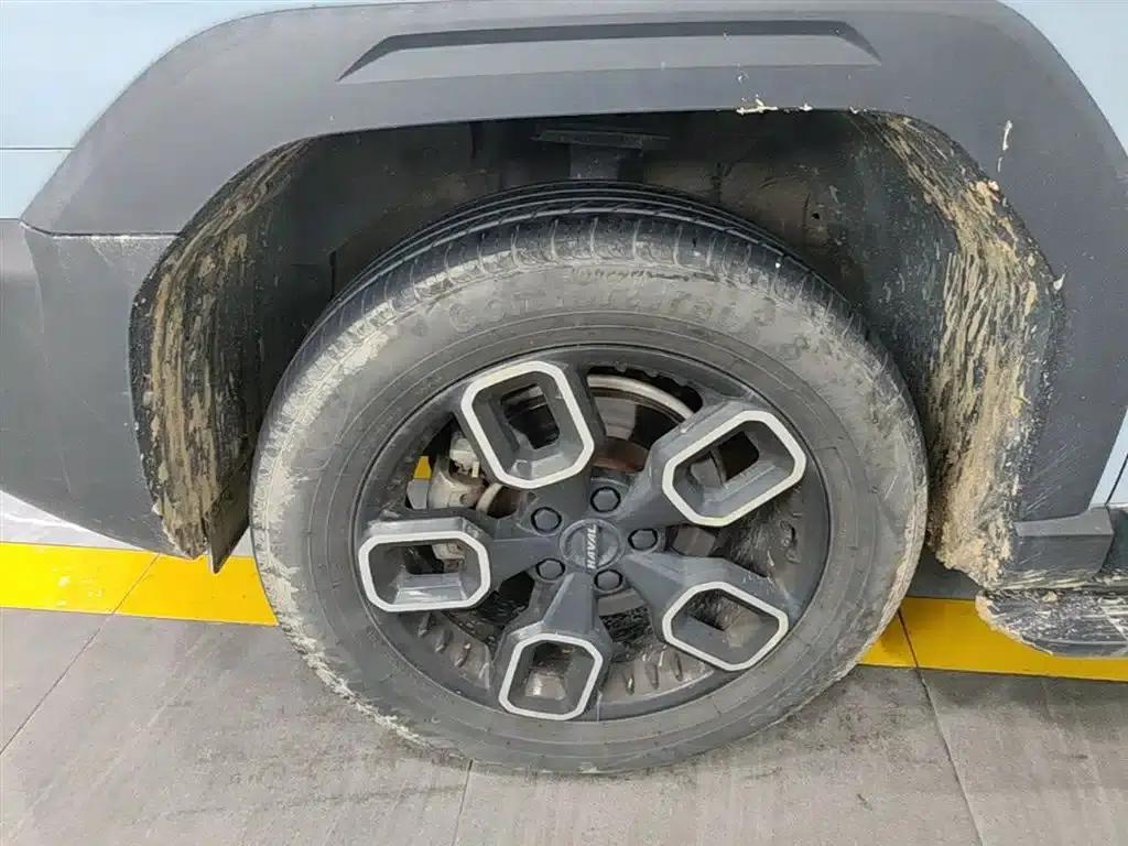 Haval Cool Dog 2022 1.5T DCT 2WD Trendy Edition — миниатюра 23