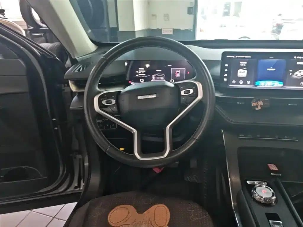 Haval H6 New Energy 2023 DHT-PHEV 55KM Joyful Edition — миниатюра 11