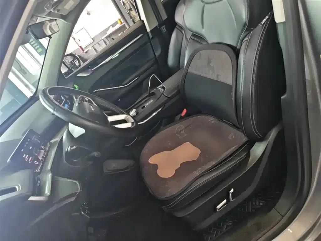 Haval H6 New Energy 2023 DHT-PHEV 55KM Joyful Edition — миниатюра 15