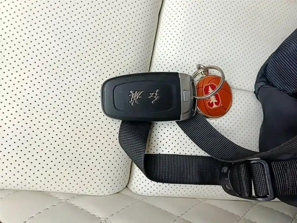 Hongqi E-HS9 2022 Model 660km Flagship Edition (Four Seats) — миниатюра 9