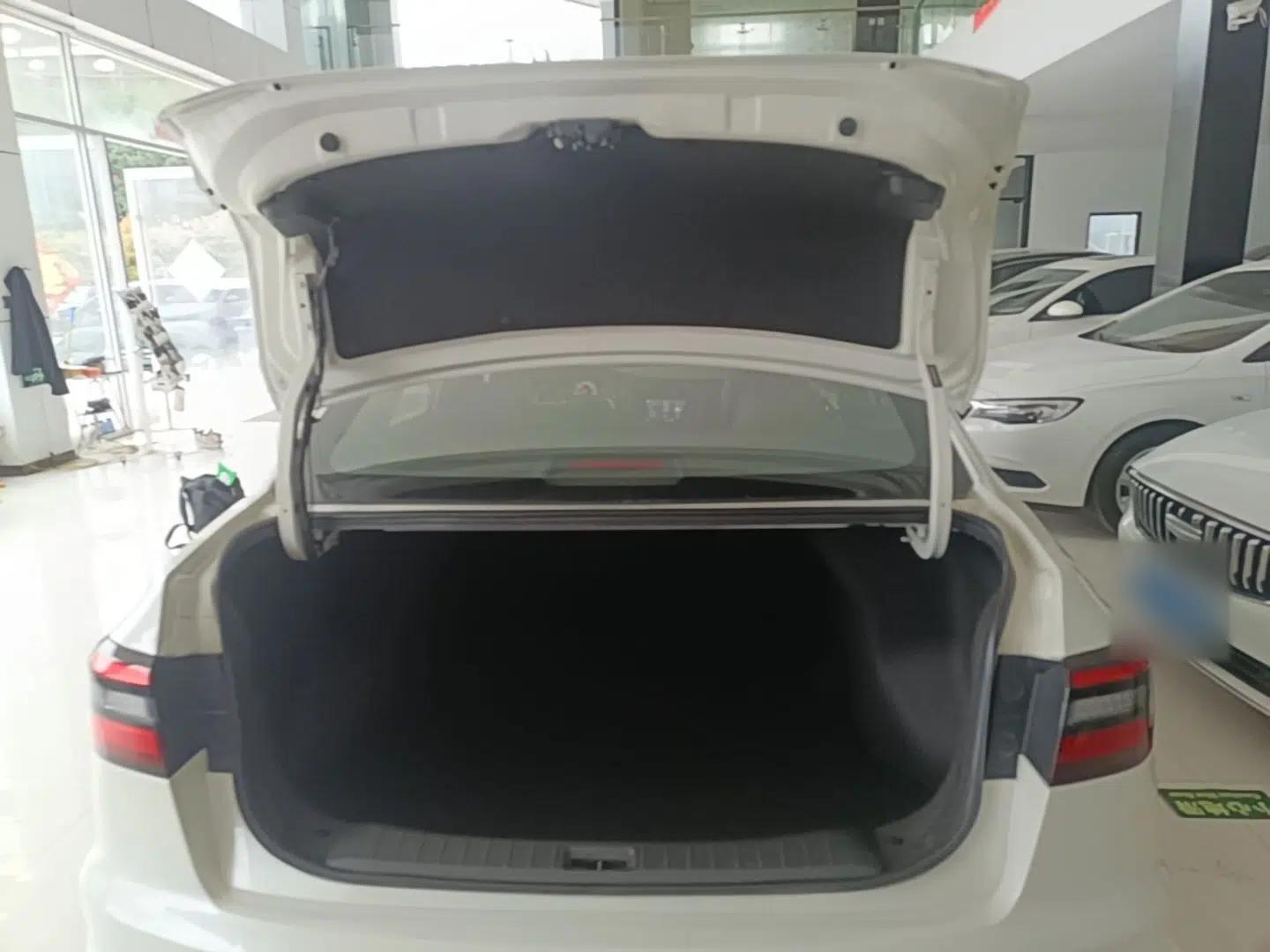 Venucia D60 2021 PLUS 1.6L XL CVT Yue Ling Edition — миниатюра 22