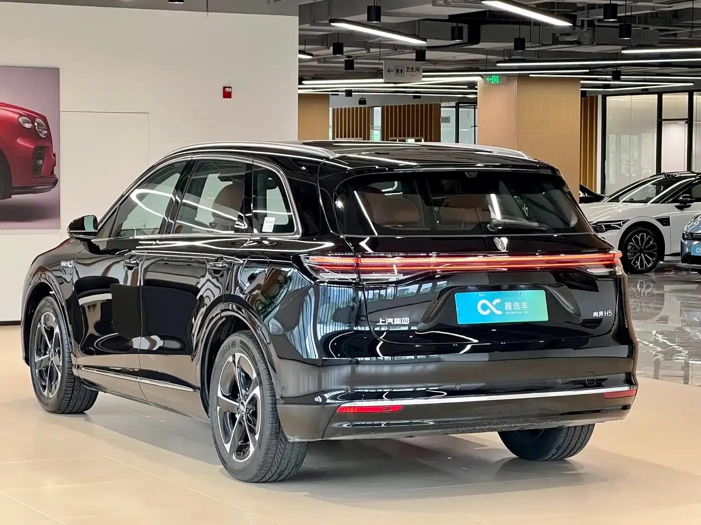 2025 Shangjie H5 Extended Range Max — миниатюра 5