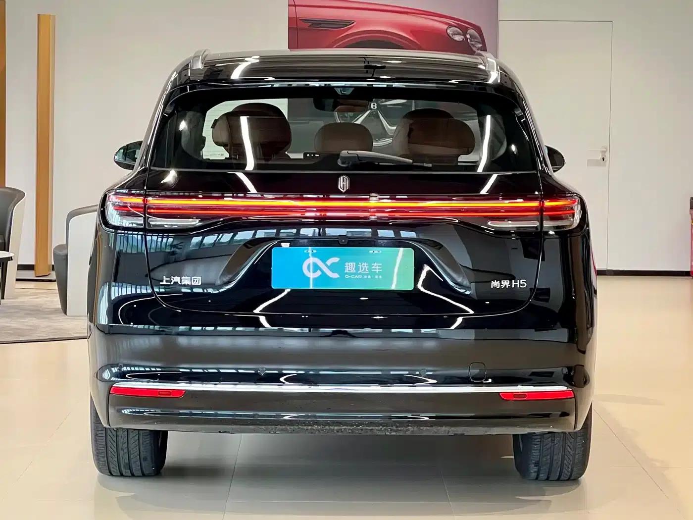 2025 Shangjie H5 Extended Range Max — миниатюра 6